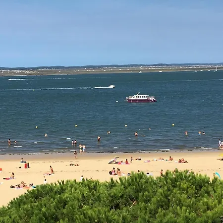 T3 Centre Arcachon, Vue Bassin, Parking, Animaux Ok, Wifi - Fr-1-374-74 アパート アルカション